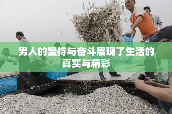 男人的坚持与奋斗展现了生活的真实与精彩