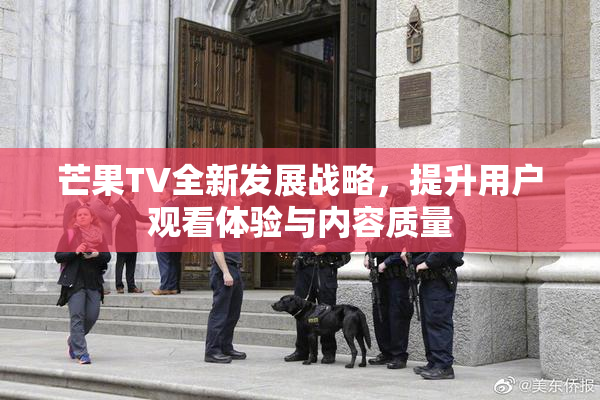 芒果TV全新发展战略，提升用户观看体验与内容质量