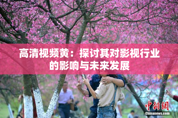 高清视频黄：探讨其对影视行业的影响与未来发展