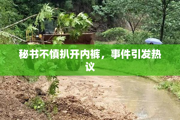 秘书不慎扒开内裤，事件引发热议