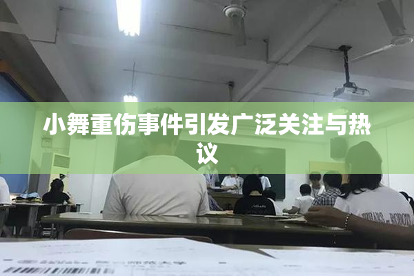 小舞重伤事件引发广泛关注与热议