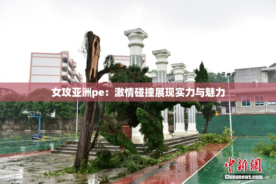 女攻亚洲pe：激情碰撞展现实力与魅力