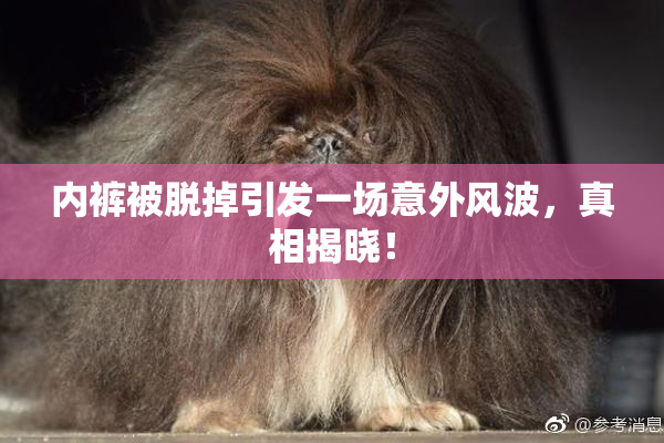 内裤被脱掉引发一场意外风波，真相揭晓！