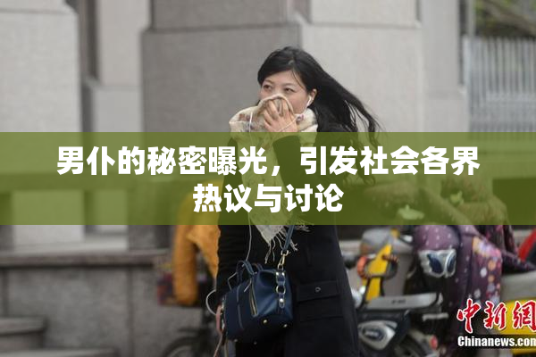 男仆的秘密曝光，引发社会各界热议与讨论