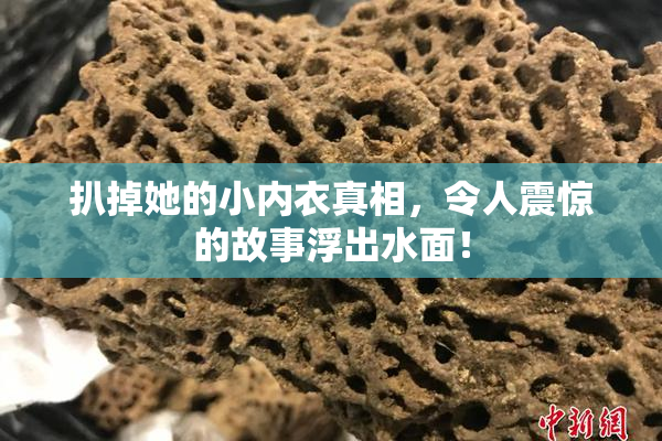 扒掉她的小内衣真相，令人震惊的故事浮出水面！