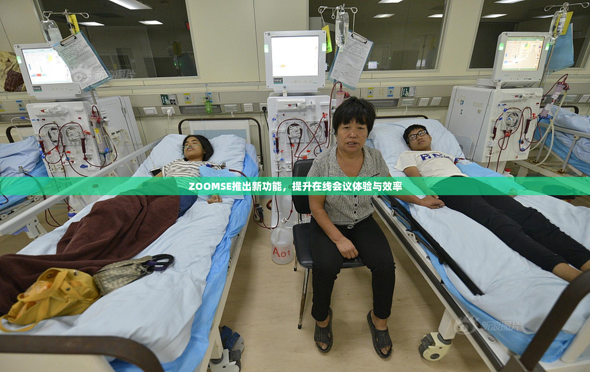 ZOOMSE推出新功能，提升在线会议体验与效率