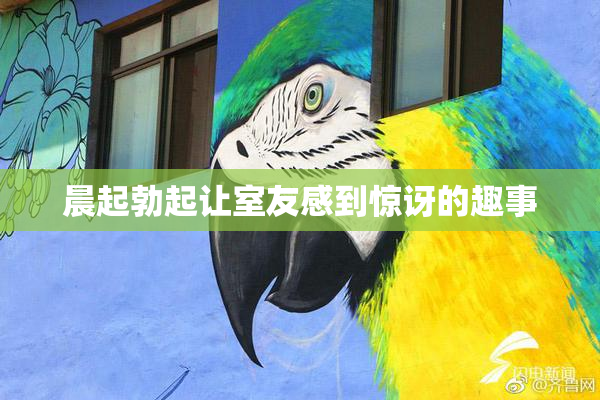 晨起勃起让室友感到惊讶的趣事
