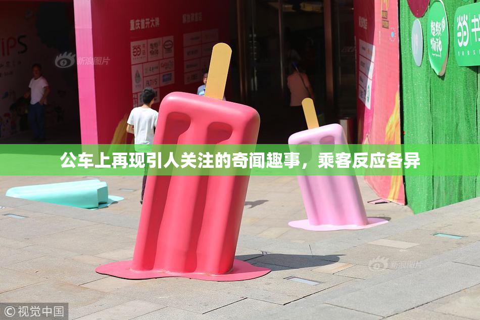 公车上再现引人关注的奇闻趣事，乘客反应各异