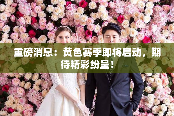 重磅消息：黄色赛季即将启动，期待精彩纷呈！