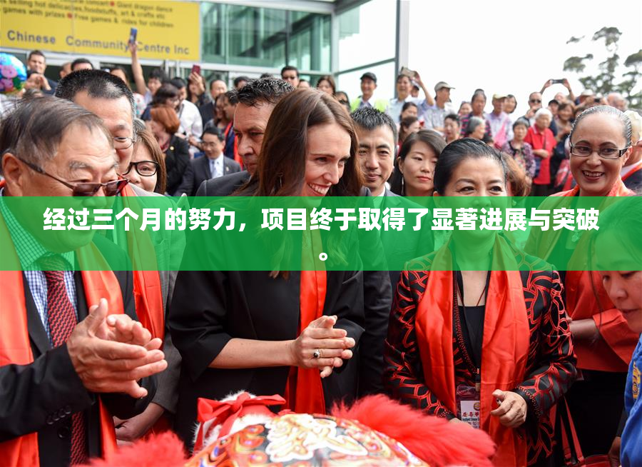经过三个月的努力，项目终于取得了显著进展与突破。