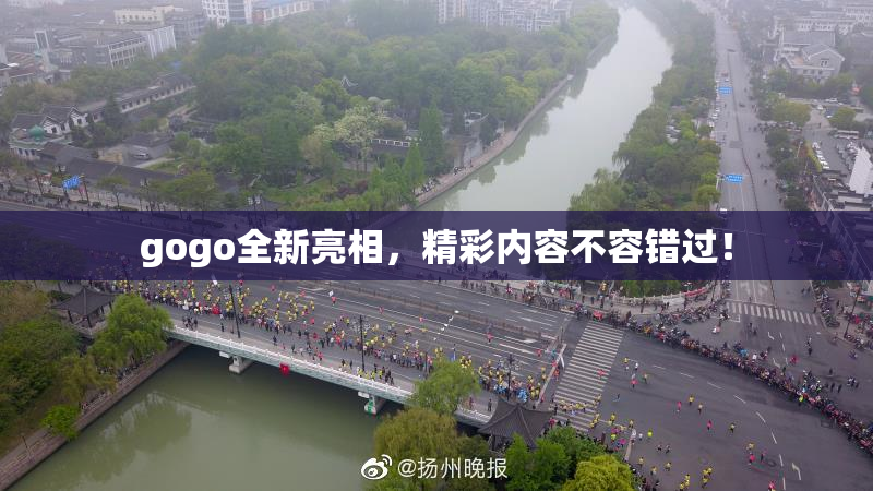 gogo全新亮相，精彩内容不容错过！