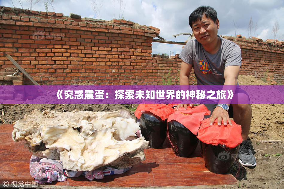 《究惑震蛋：探索未知世界的神秘之旅》