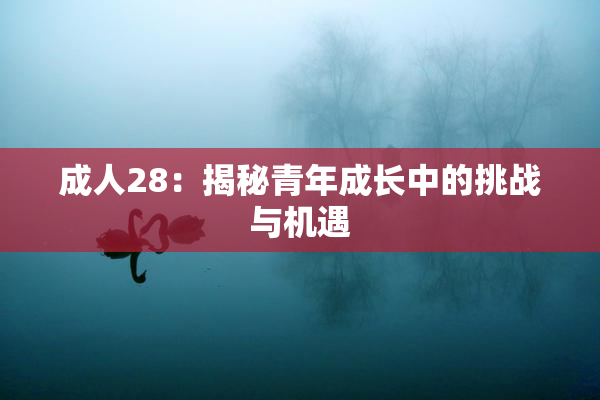 成人28：揭秘青年成长中的挑战与机遇