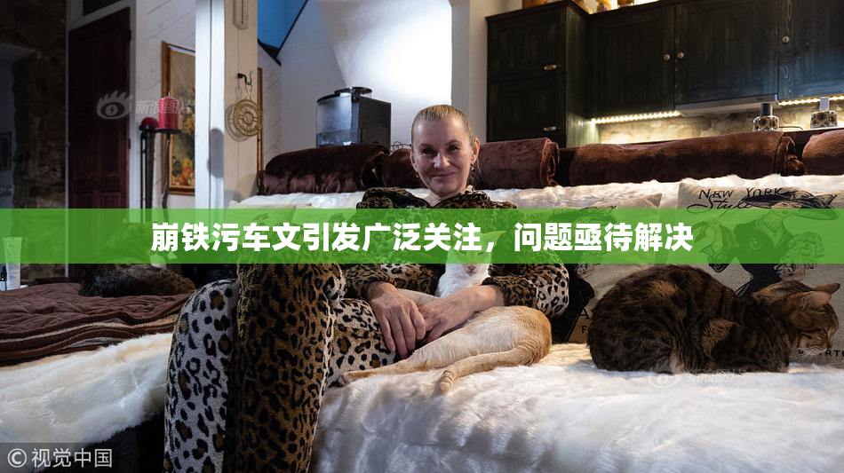 崩铁污车文引发广泛关注，问题亟待解决