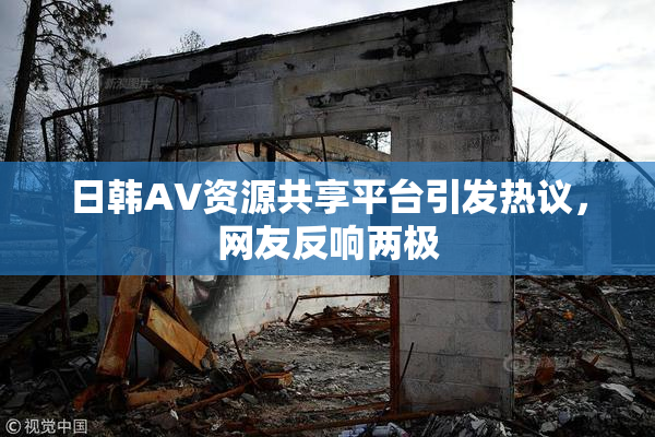 日韩AV资源共享平台引发热议，网友反响两极