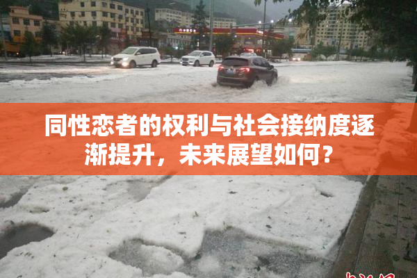 同性恋者的权利与社会接纳度逐渐提升，未来展望如何？