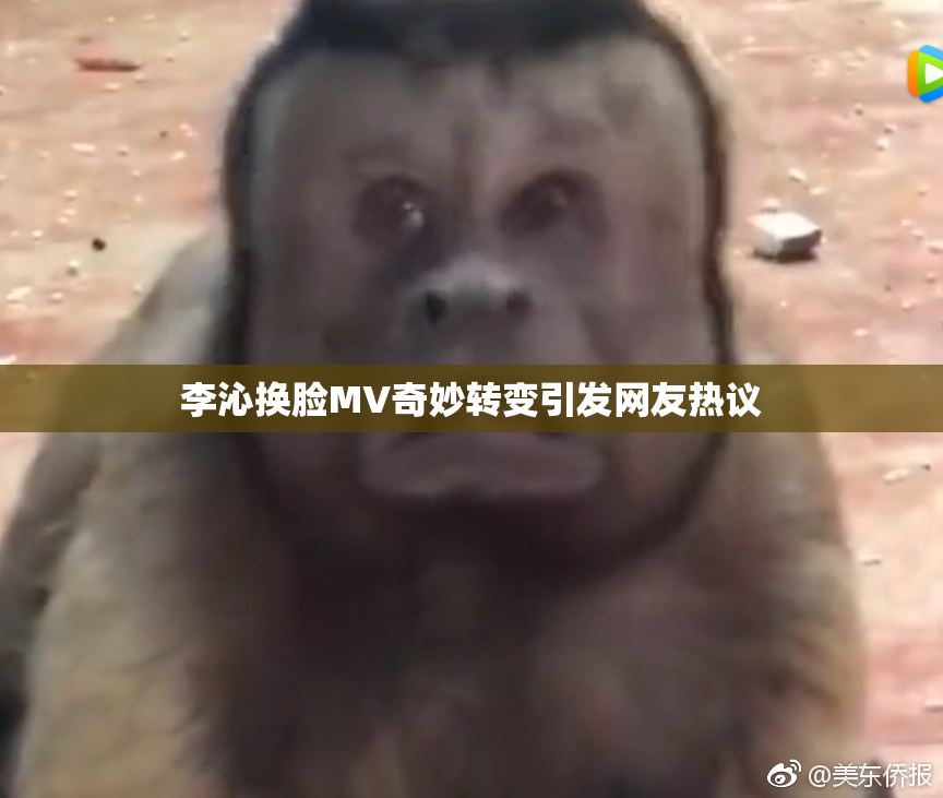 李沁换脸MV奇妙转变引发网友热议