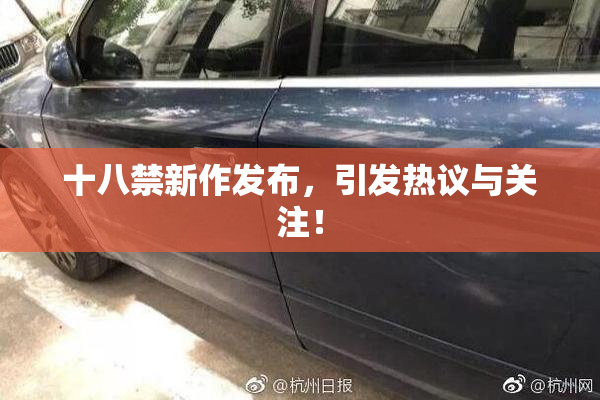 十八禁新作发布，引发热议与关注！