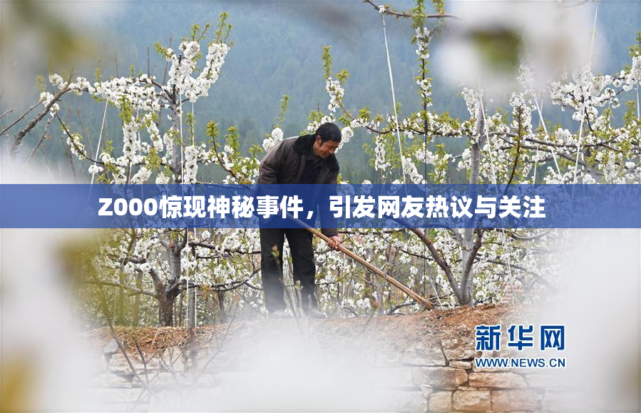 Z000惊现神秘事件，引发网友热议与关注