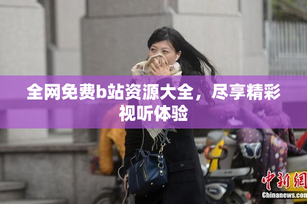 全网免费b站资源大全，尽享精彩视听体验