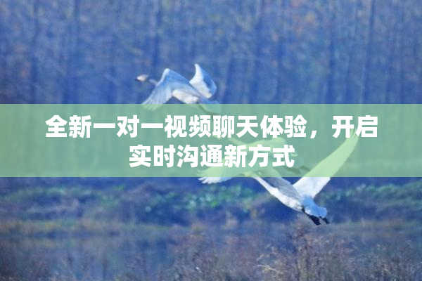 全新一对一视频聊天体验，开启实时沟通新方式
