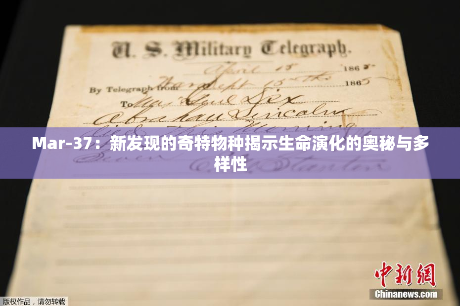 Mar-37：新发现的奇特物种揭示生命演化的奥秘与多样性