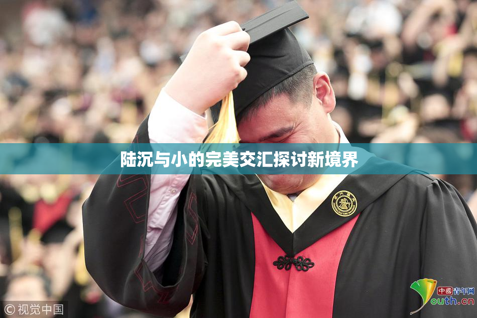 陆沉与小的完美交汇探讨新境界