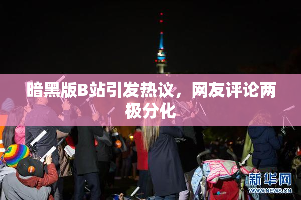 暗黑版B站引发热议，网友评论两极分化