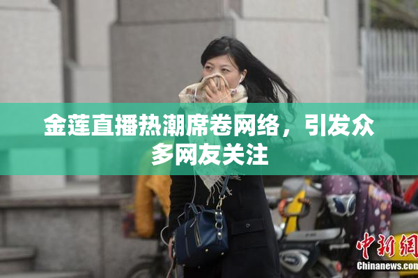 金莲直播热潮席卷网络，引发众多网友关注