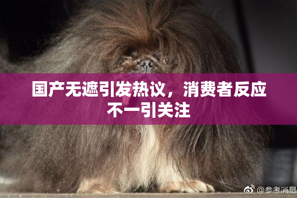 国产无遮引发热议，消费者反应不一引关注