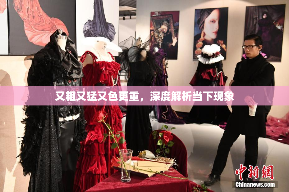 又粗又猛又色更重，深度解析当下现象