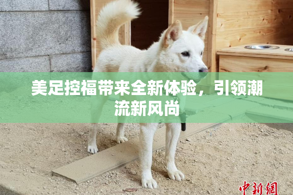 美足控福带来全新体验，引领潮流新风尚