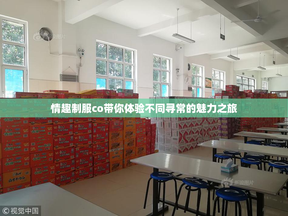情趣制服co带你体验不同寻常的魅力之旅