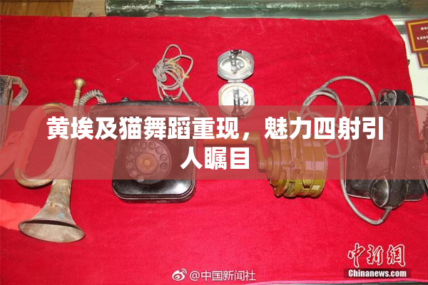 黄埃及猫舞蹈重现，魅力四射引人瞩目