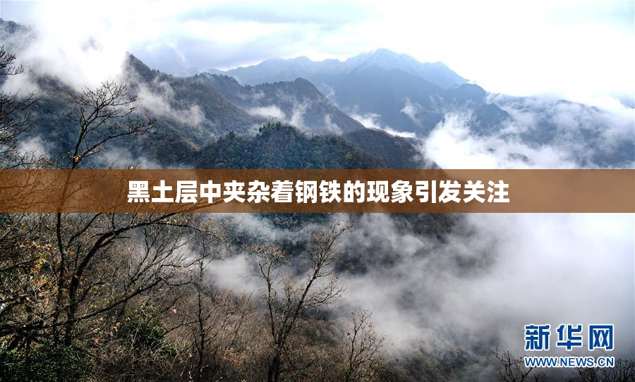黑土层中夹杂着钢铁的现象引发关注