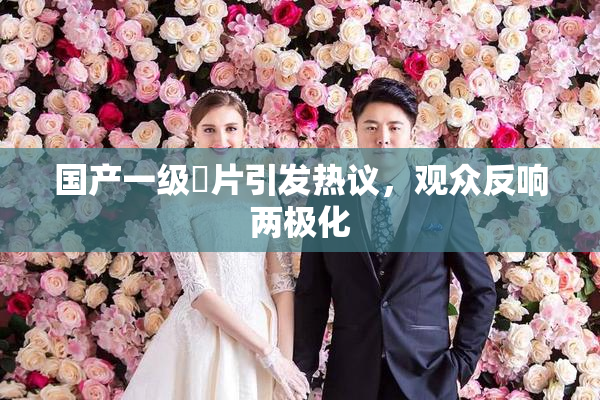国产一级婬片引发热议，观众反响两极化