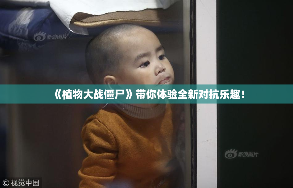 《植物大战僵尸》带你体验全新对抗乐趣！