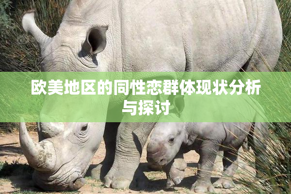 欧美地区的同性恋群体现状分析与探讨