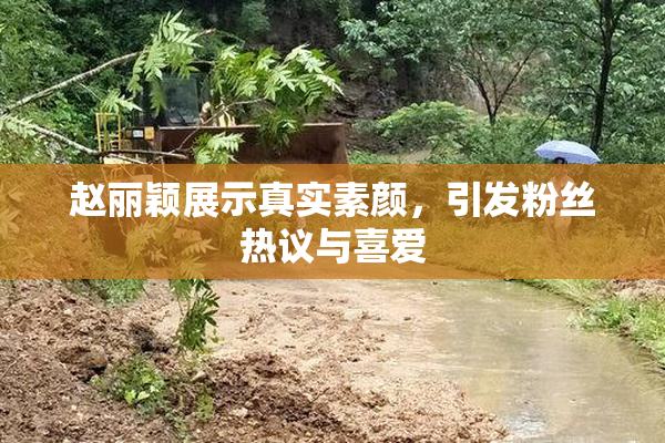 赵丽颖展示真实素颜，引发粉丝热议与喜爱