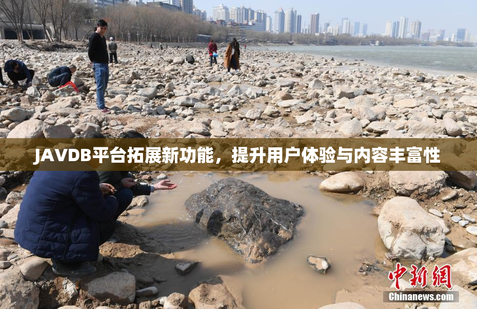 JAVDB平台拓展新功能，提升用户体验与内容丰富性