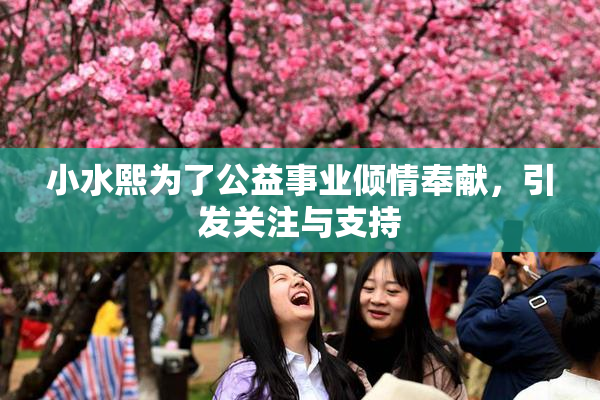 小水熙为了公益事业倾情奉献，引发关注与支持