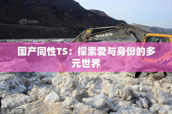国产同性TS：探索爱与身份的多元世界