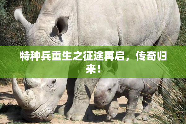 特种兵重生之征途再启，传奇归来！