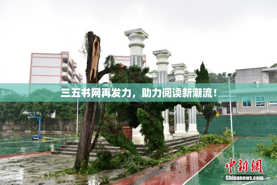 三五书网再发力，助力阅读新潮流！