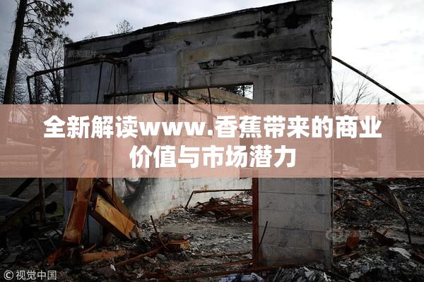 全新解读www.香蕉带来的商业价值与市场潜力