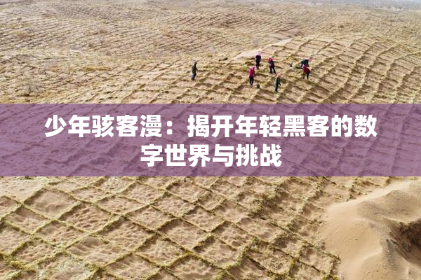 少年骇客漫：揭开年轻黑客的数字世界与挑战