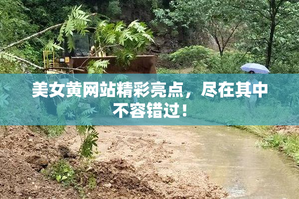 美女黄网站精彩亮点，尽在其中不容错过！