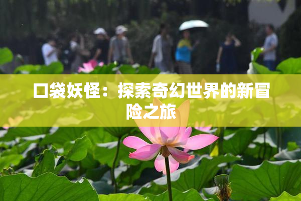 口袋妖怪：探索奇幻世界的新冒险之旅