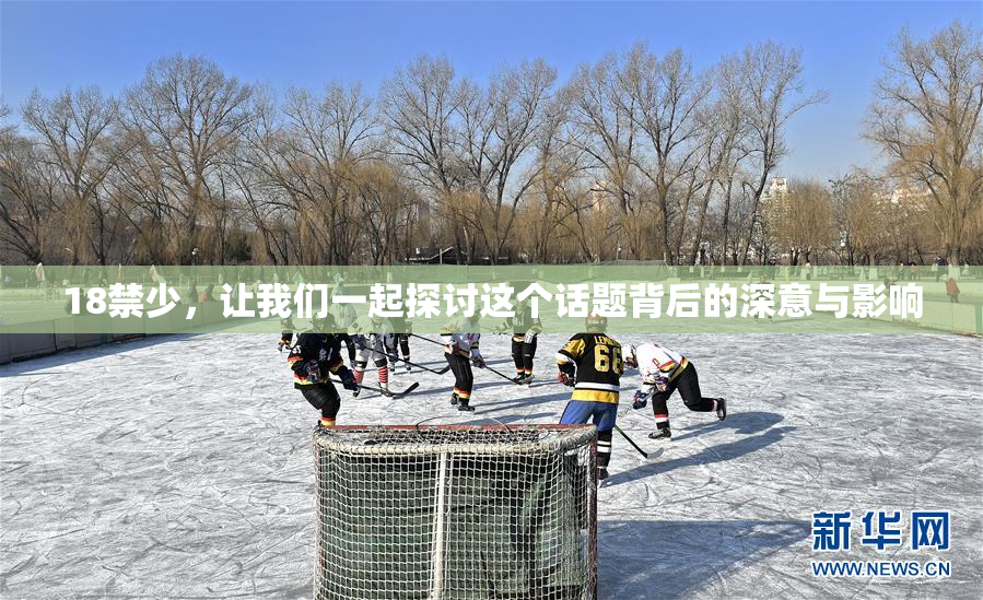 18禁少，让我们一起探讨这个话题背后的深意与影响