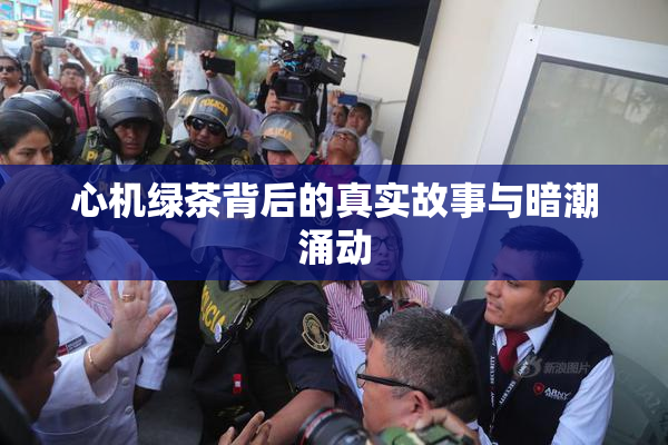 心机绿茶背后的真实故事与暗潮涌动